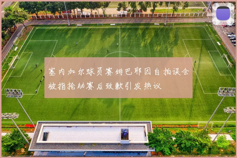塞内加尔球员赛姆巴耶因自拍误会被指抢劫赛后致歉引发热议