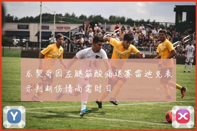 东契奇因左腿筋酸痛退赛雷迪克表示判断伤情尚需时日