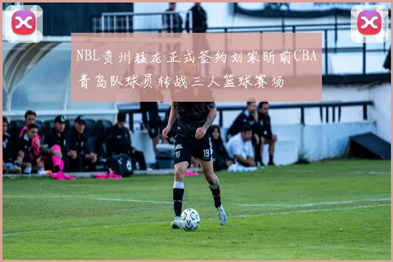 NBL贵州猛龙正式签约刘家昕前CBA青岛队球员转战三人篮球赛场